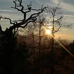 Bergahorn * グレーブミング