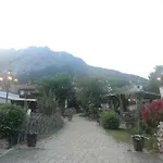 Bergahorn