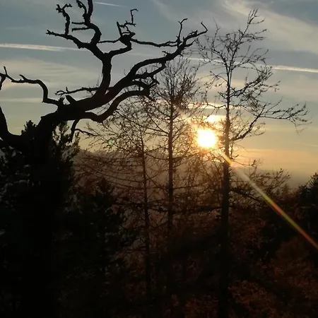 Bergahorn * غوربمينغ