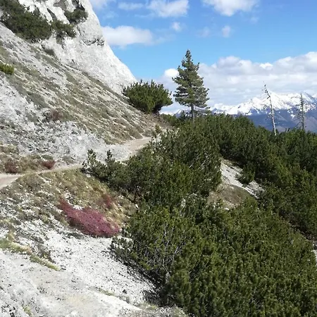 Bergahorn Грёбминг