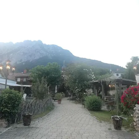 Bergahorn