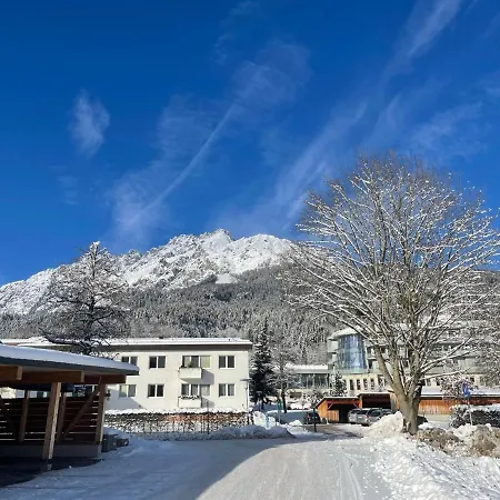 Bergahorn