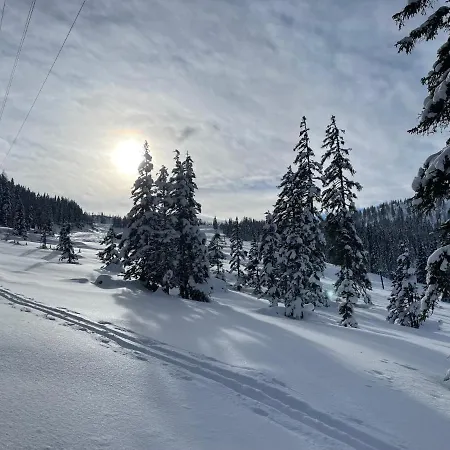 Bergahorn * غوربمينغ