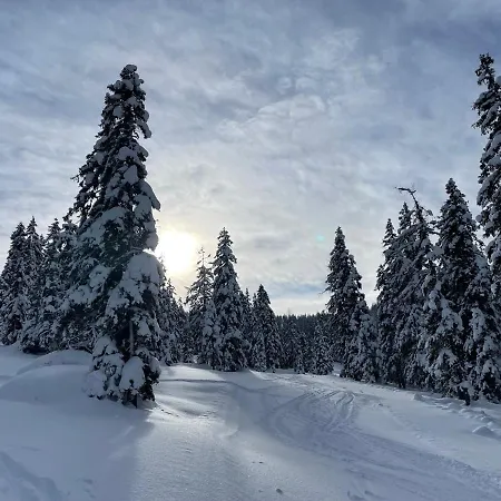 Апартаменты Bergahorn