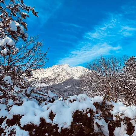 Bergahorn * Грёбминг