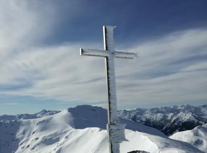 Bergahorn * Grobming