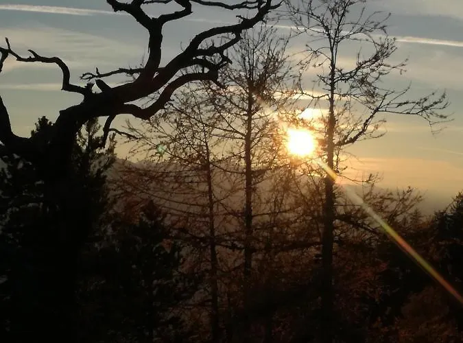 Bergahorn * Grobming