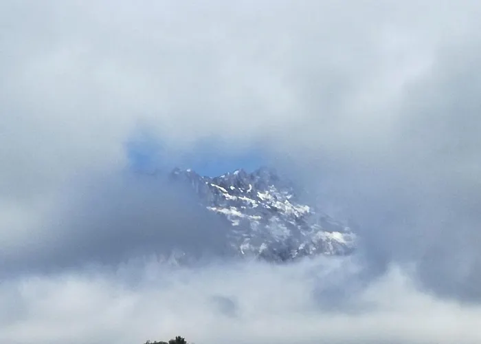 Bergahorn Appartement *