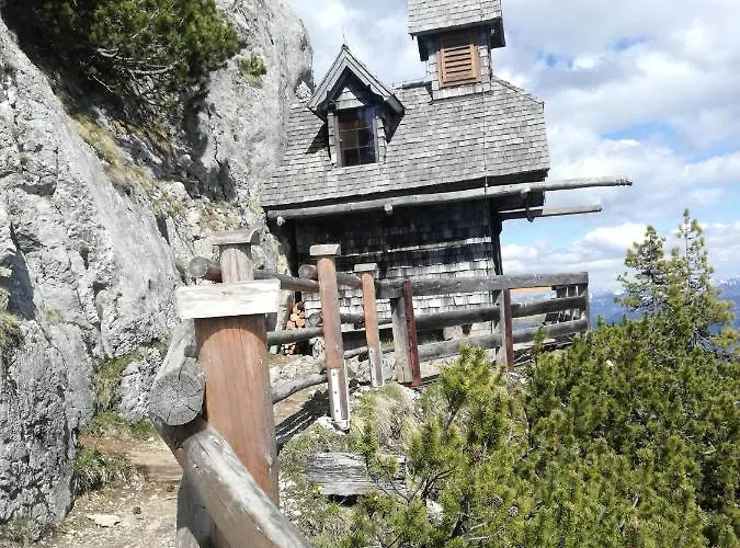 Bergahorn * Grobming