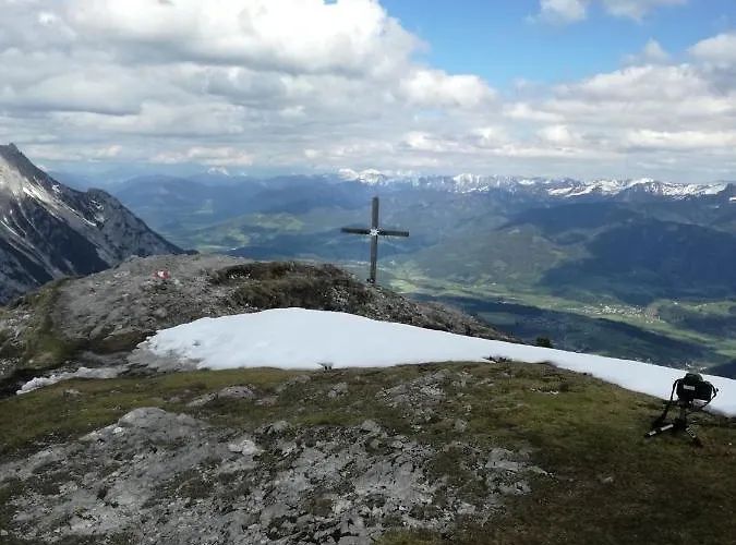 Bergahorn * Grobming