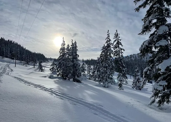 Bergahorn * Grobming