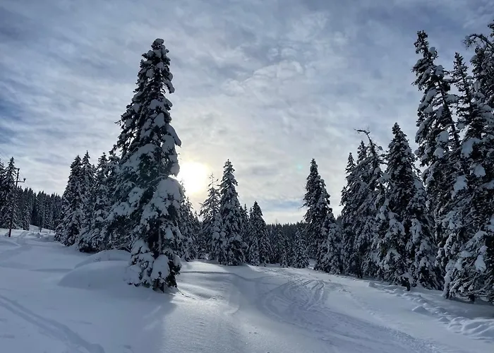 Appartement Bergahorn