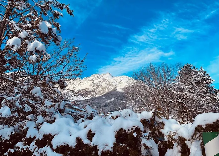 Bergahorn * Grobming